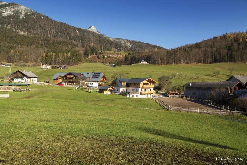 فيلا Saint Wolfgangفي Reiterhof Suassbauer المظهر الخارجي الصورة